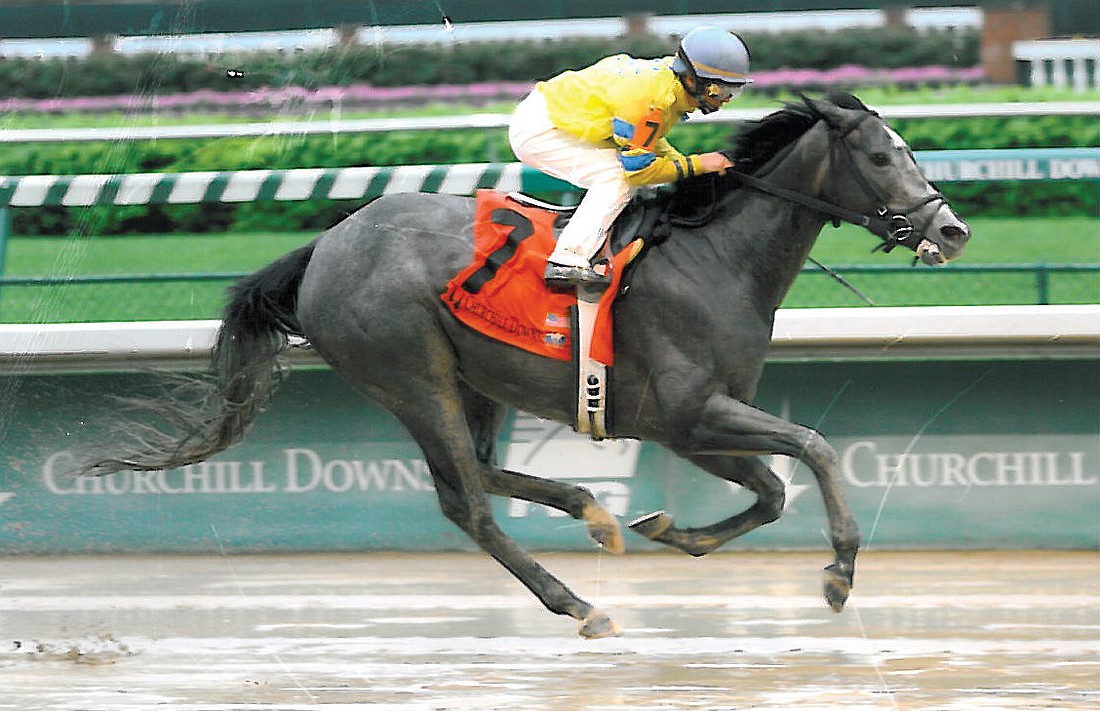 Casey's Jet has had six winning pictures and is Tappan's favorite horse.