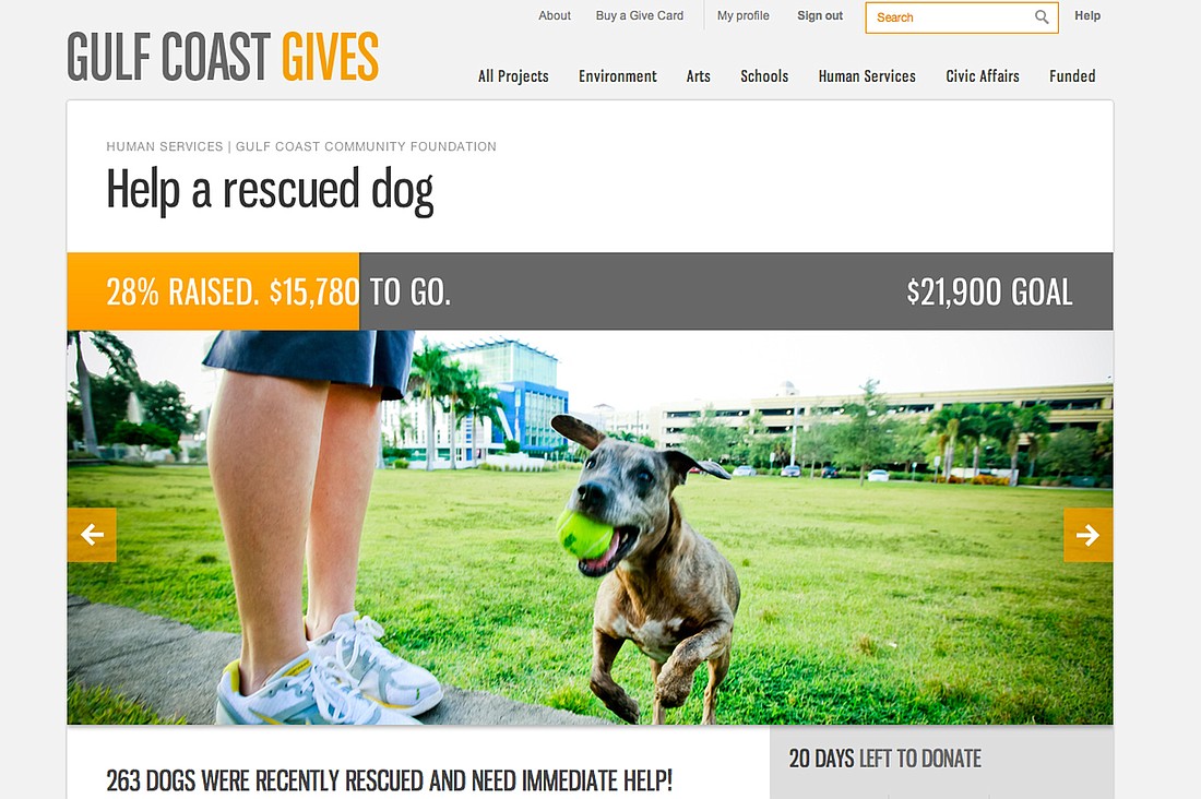 Screen shot from www.gulfcoastgives.org/projects/741