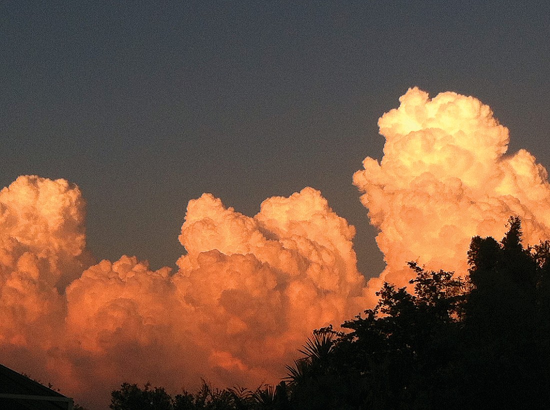 Stephen Brown submitted this photo of billowing storm clouds, taken Thursday, May 24, in Lakewood Ranch.
