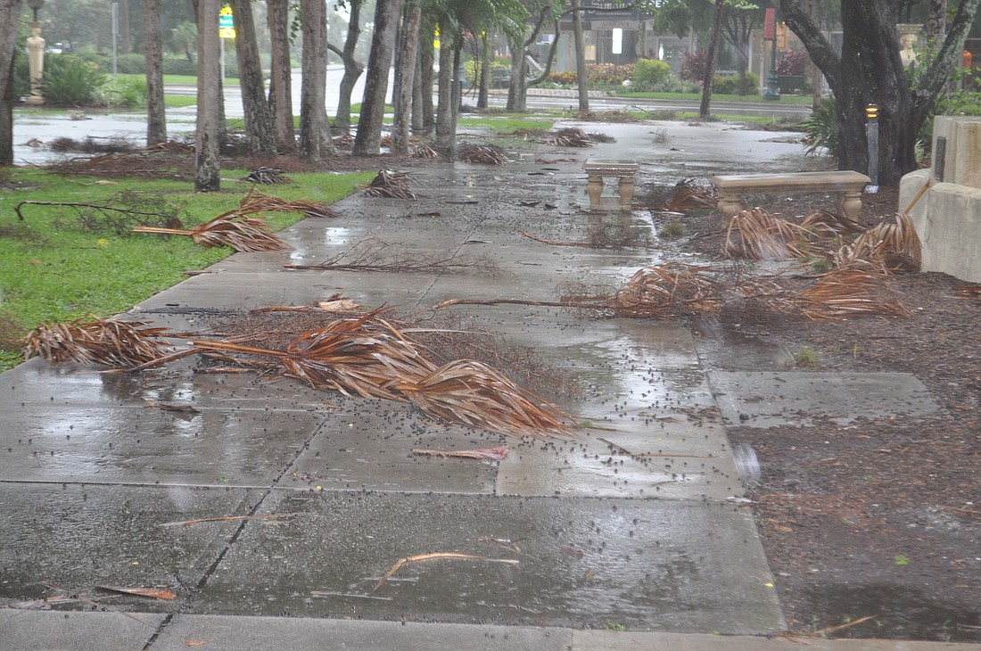Winds have caused damage in areas of Longboat Key, Siesta Key, and Sarasota. Photo by Mallory Gnaegy.