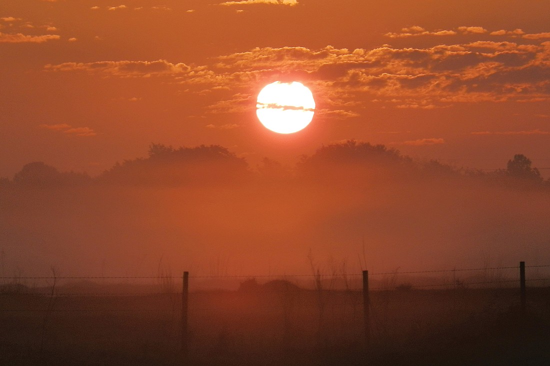 Lisa McLeod captured this early-morning sunrise in Myakka City.