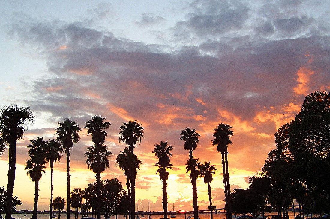 Cheryl Dobbins submitted this sunset photo, taken overlooking Sarasota Bay.