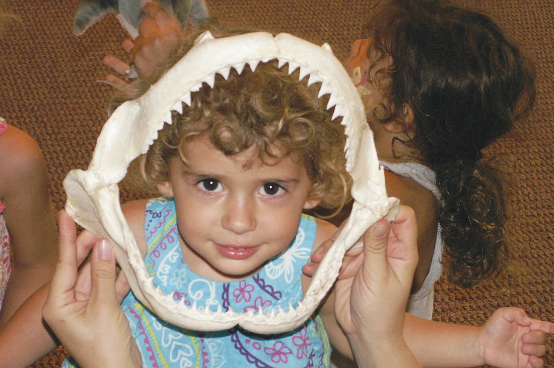 Cara Sheyner poses with a shark jaw. Photo courtesy of Laura Freedman.