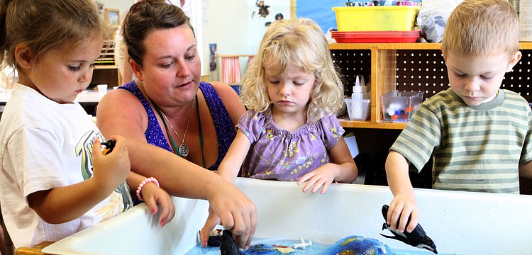 Ari Benson, Lauren Schuth, Davina Chait and Hendrix Nunnery play at the water table with plastic penguins and blocks of ice filled with plastic fish, Monday, July 16, during Penguins Aplenty, Penguins Galore camp at Forty Carrots.