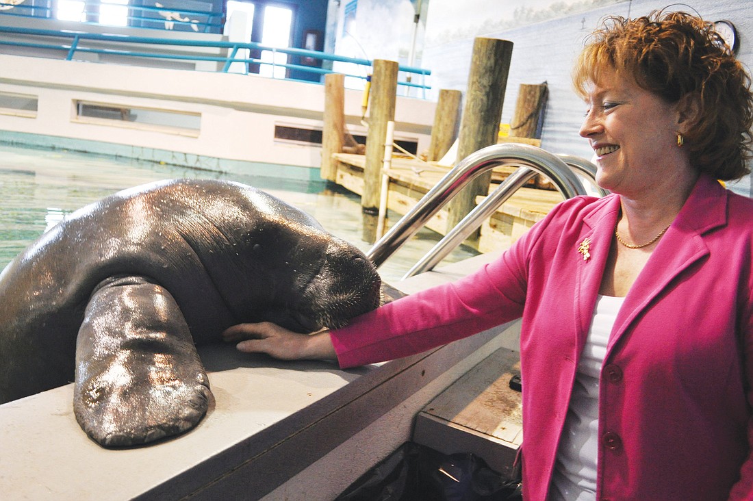 South Florida Museum Executive Director Brynne Anne Besio, a resident of Lakewood Ranch, loves to visit Snooty, who will celebrate his 64th birthday July 21. "He's making history every day with his age," she says.