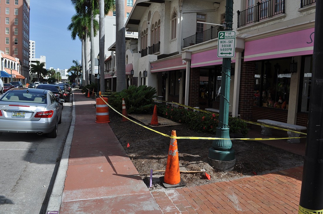 The work will continue through next week with the installation of a drip irrigation system, before the new vegetation is planted.
