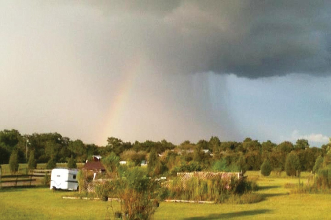 Rosemary Balandra took this photo of a rainbow from the back door of her home in Panther Ridge.