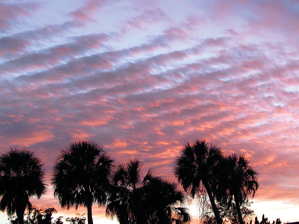 Nick Formica took this sunset photo in Sarasota.