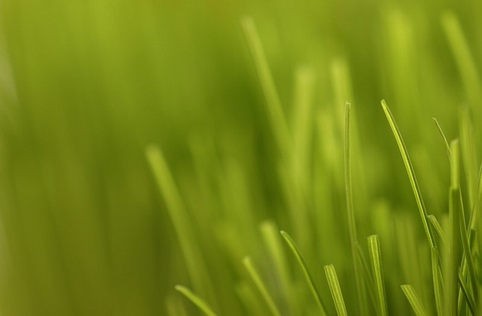 Sarasota County Procurement Official Ed Coyman Jr. last week signed the six-month contract recommendation, which was based on the $360,720 bid submitted by the Palmetto firm.