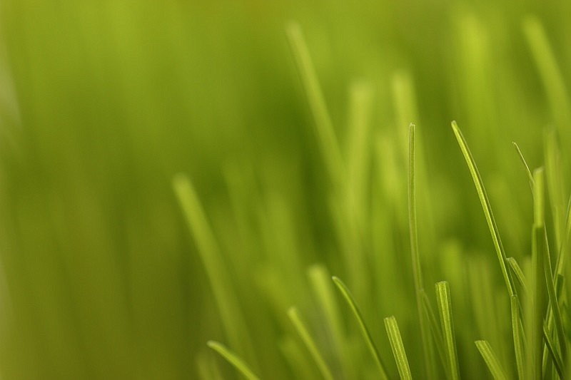 Sarasota County Procurement Official Ed Coyman Jr. last week signed the six-month contract recommendation, which was based on the $360,720 bid submitted by the Palmetto firm.