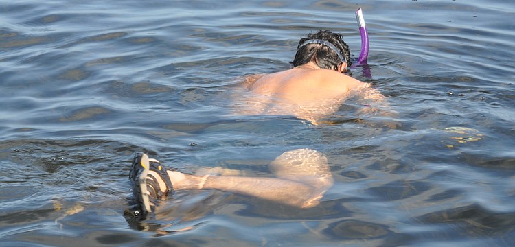 Volunteer Justin Bloom searches for scallops