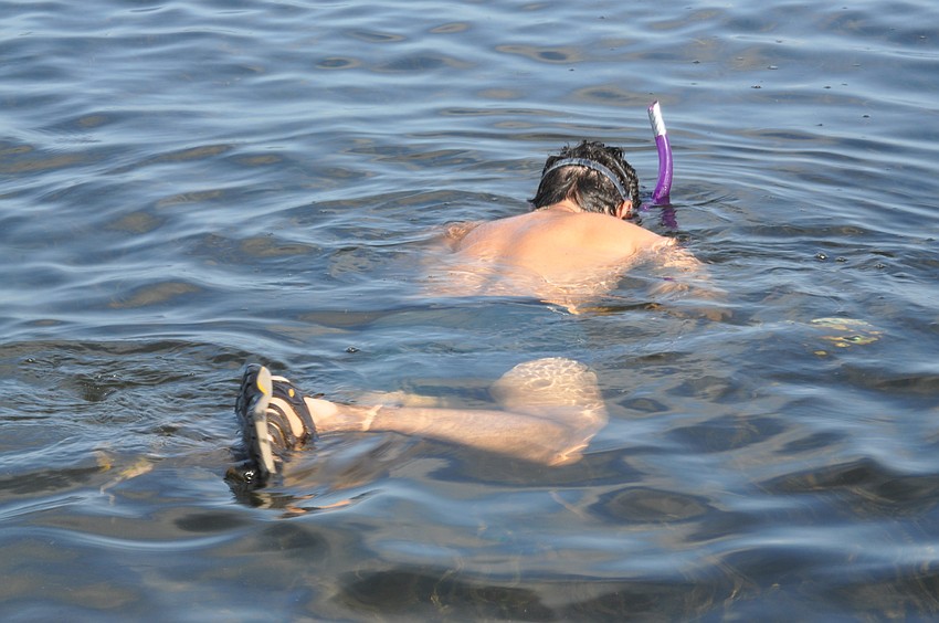 Volunteer Justin Bloom searches for scallops