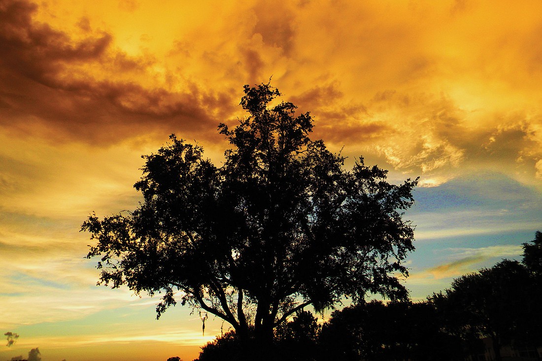 Richard Bottorff took this photo of a glowing evening sky in Tara Golf and Country Club.