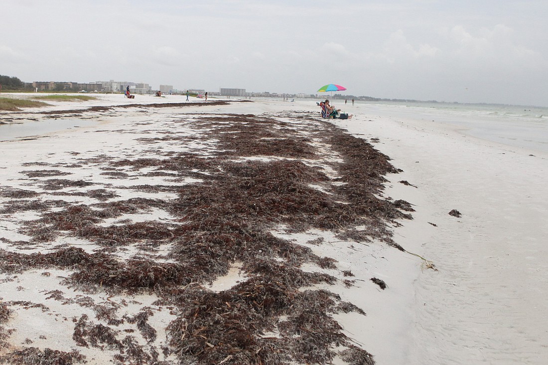 Rules by the Florida Department of Environmental Protection prohibit cleanup operations except in beach areas seaward of the mean high tide.