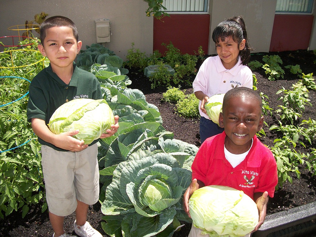 First-grade students Frank Avalos, Ximena Franco-Martinez and Rodqueze Austin show off last yearÃ¢â‚¬â„¢s harvest at Alta Vista ElementaryÃ¢â‚¬â„¢s organic garden.