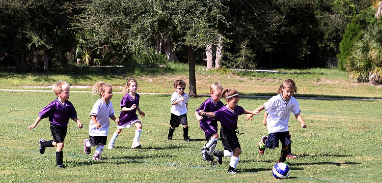 The Angel Fish and Marlins play one another during their first soccer game of the Suncoast Sports Club season Saturday, Sept. 8 at Glebe Park.