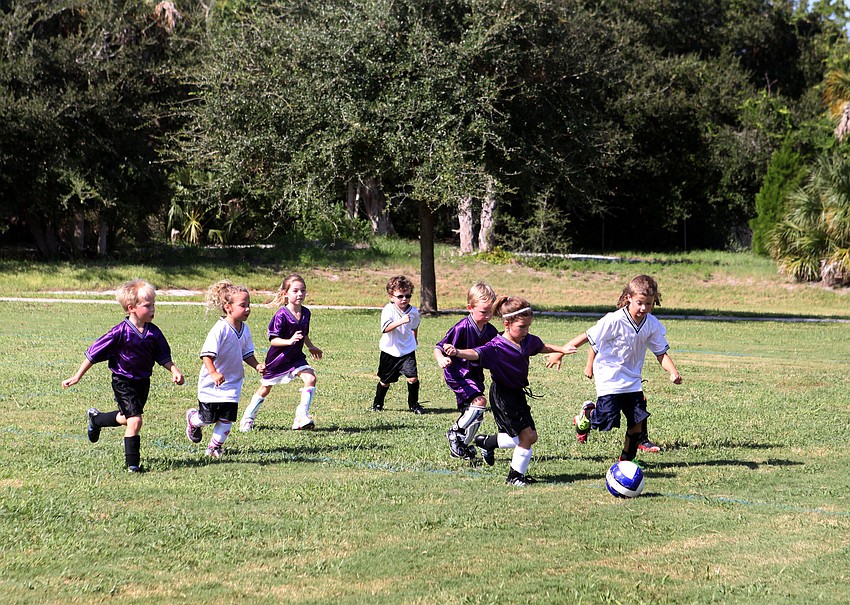 The Angel Fish and Marlins play one another during their first soccer game of the Suncoast Sports Club season Saturday, Sept. 8 at Glebe Park.