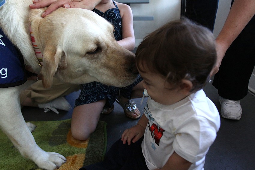 Lynde goes in to give Vincent, 11 mos., a â€œkissâ€, Saturday, July 21, during Puppy Love at Southeastern Guide Dogs Sarasota.