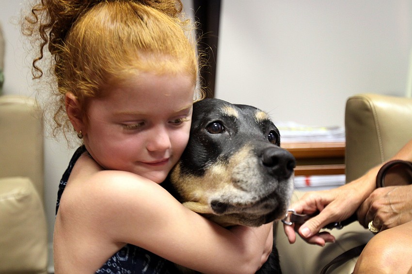 Grace Calore, 5, hugs Honor, Saturday, July 21, during Puppy Love at Southeastern Guide Dogs Sarasota.