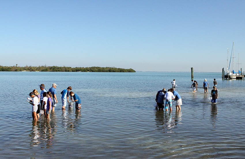 Half of Pamela Davisâ€™ class work out in the water on their research projects, Friday, April 27, at Mote Marine.