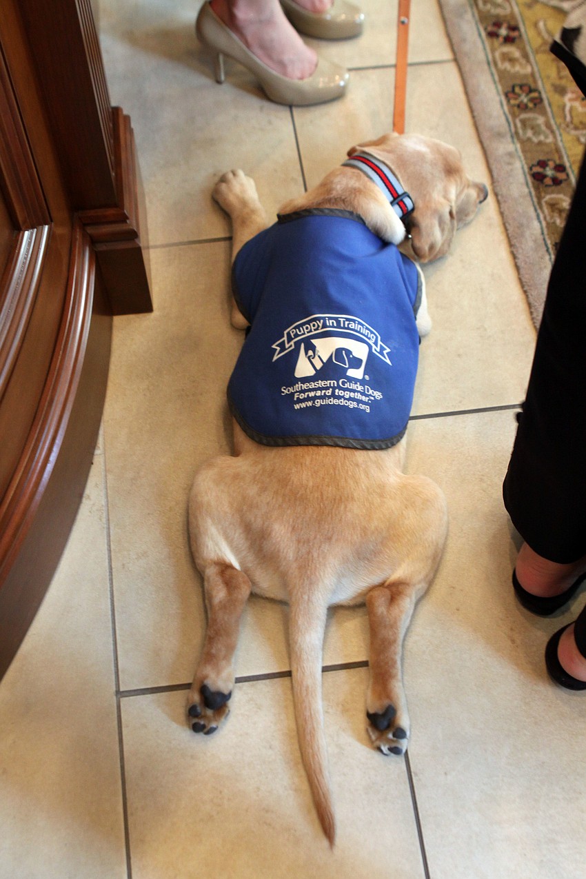 Porter splays out on the floor during the talking portion of the event, Thursday, July 26, at Premier Sothebyâ€™s.
