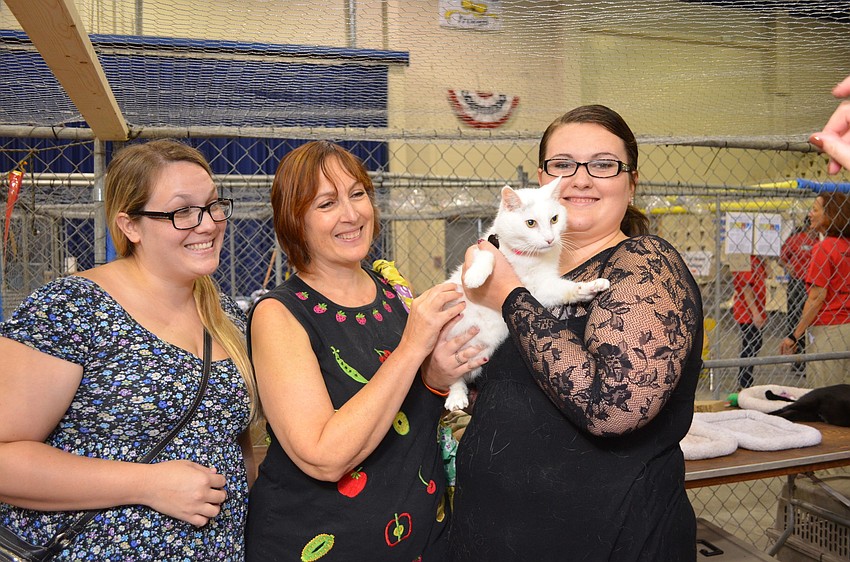 Katy Knowles, Roxane Caravan and Rachel Knowles