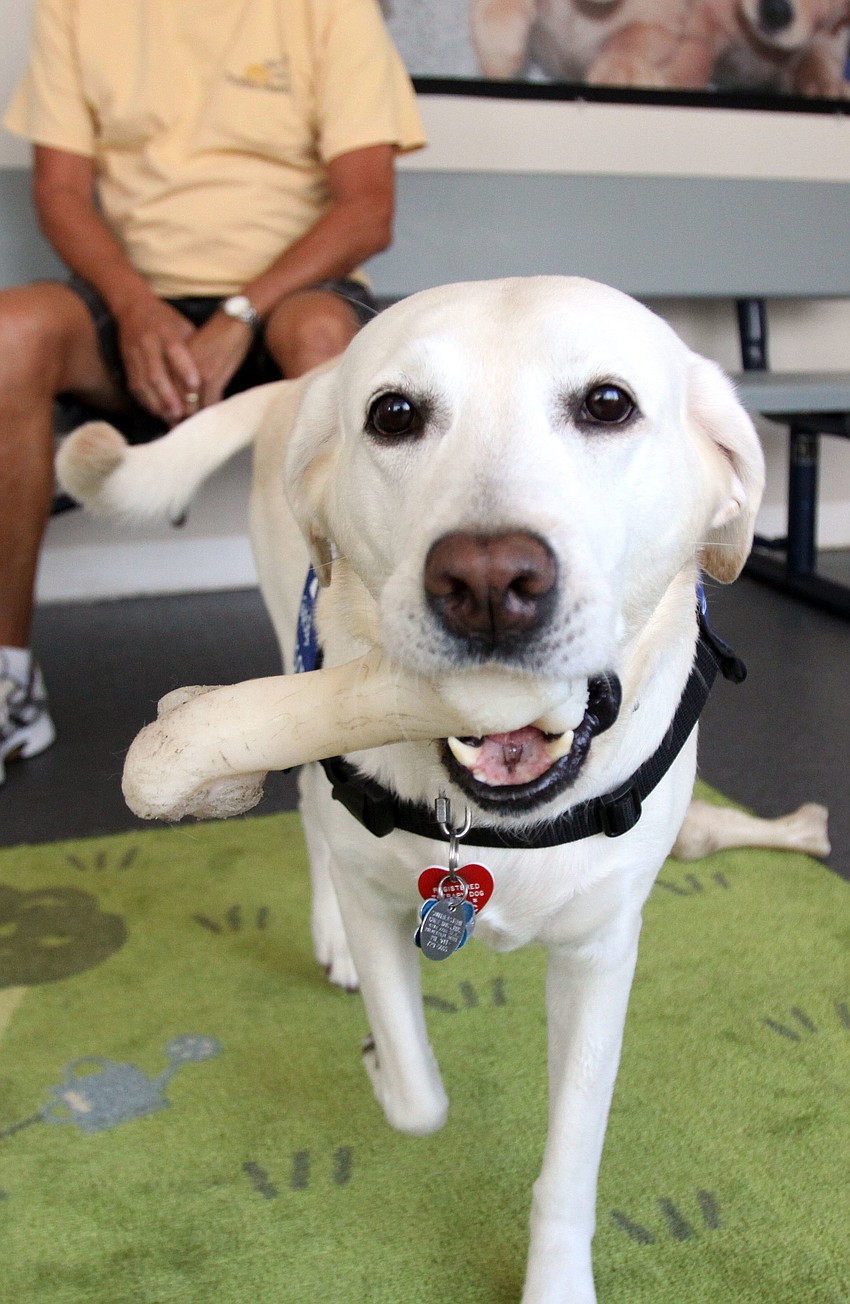 Lynde makes her way towards the camera with her bone.