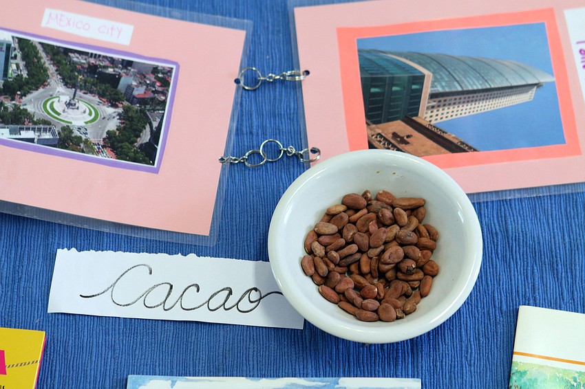 Students from LÃ©on, Mexico brought cacao beans as part of their show and-tell presentation for the NewGate students.