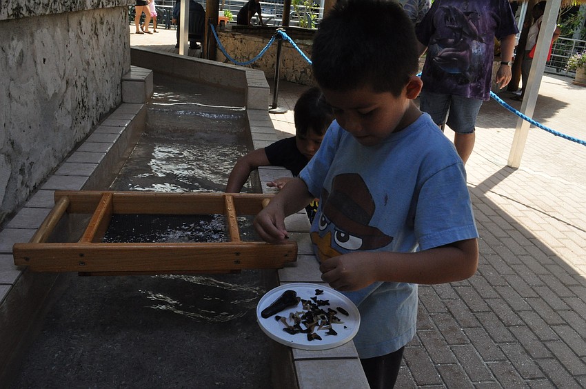 Camilla Rodriguez-Gonzalas and Carlos Rodriguez-Gonzalas
