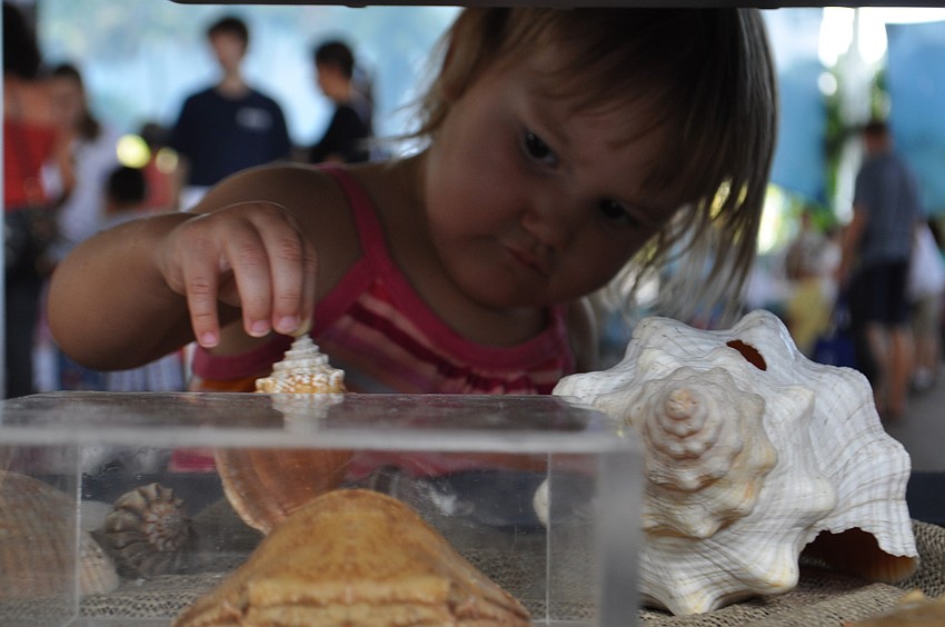 Finnley Jones investigates shells