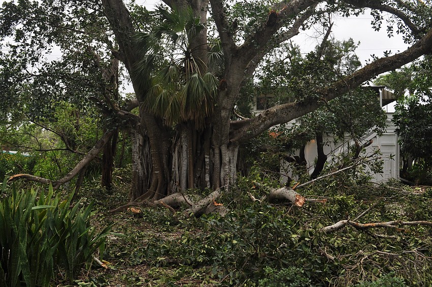 Joan Durante Park was closed Monday. Branches and limbs were down all over the park.