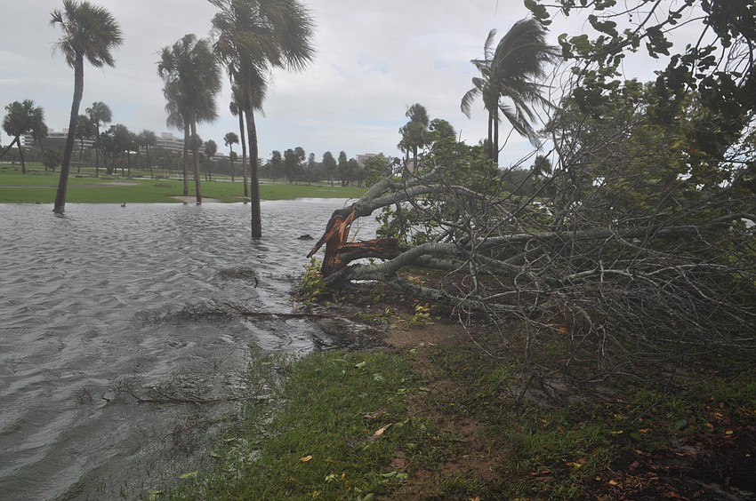 There were more positive sides to the Deb-istation. Golfers looking to improve their aim had the added obstacles of flooding and flying limbs Sunday at Longboat Key Club and Resort's Islandside Course.