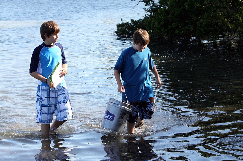 Phillip Cecil 12, and Lucas Macleod 12, look for seagrass.