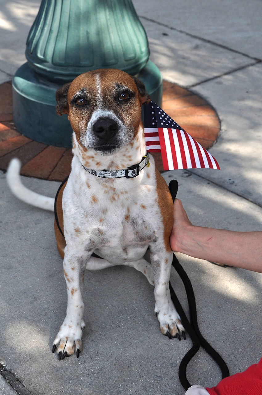 Jake, 6, wore an American flag in is collar.