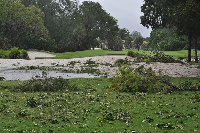 Broken limbs littering the course at Longboat Key Club and Resort were par following the Deb-istation.