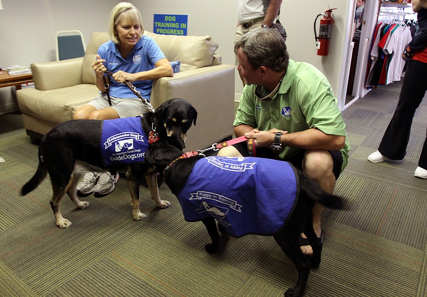 Honor and Liz smell one another while their handlers, Nancy Sanders and Brian Davis, chat about the dogs, Saturday, July 21, during Puppy Love at Southeastern Guide Dogs Sarasota.