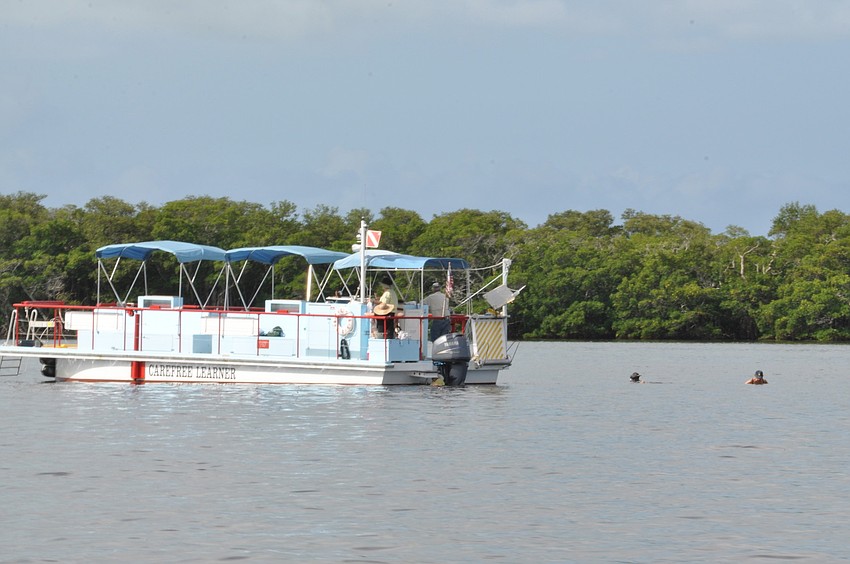 The Carefree Learner took a group of volunteers to search the bay