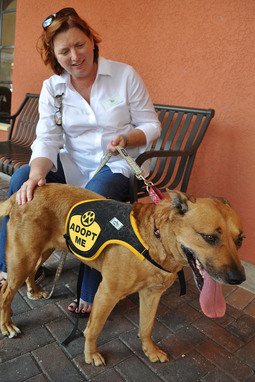 Humane Society of Lakewood Ranch volunteer Judy Kamps showed of Honey, a 6-year-old dog available for adoption.