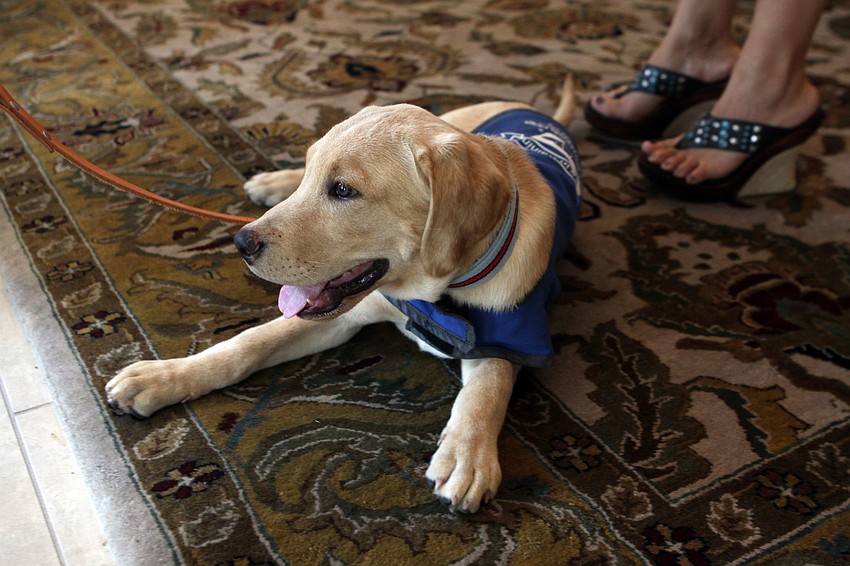 Porter, 14 weeks, was a huge hit, Thursday, July 26, at Premier Sothebyâ€™s.