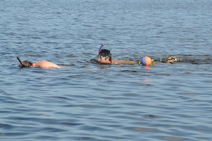 Chairman of the Board of Sarasota Bay Watch Rusty Chinnis and volunteer Justin Bloom search for scallops