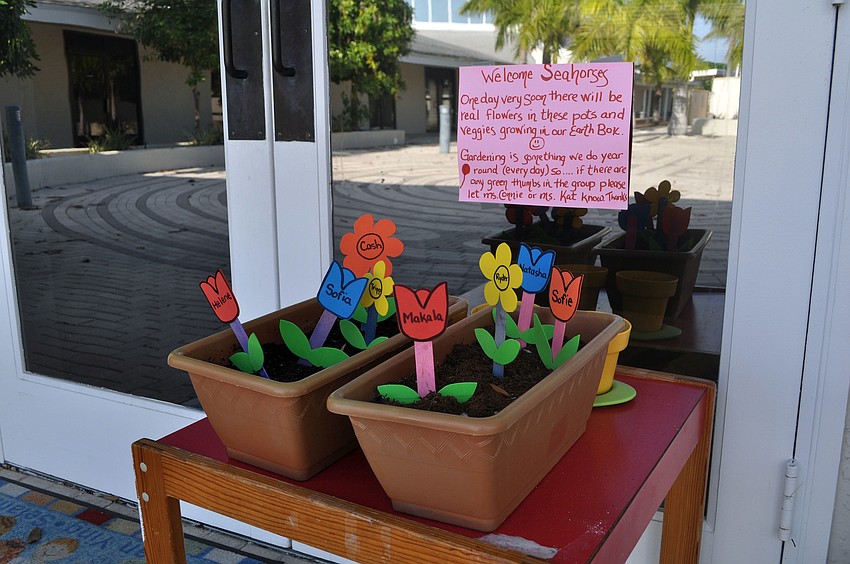The Seahorse Class was greeted by two flowerpots full of soil and fake flowers with each studentâ€™s name on a flower.