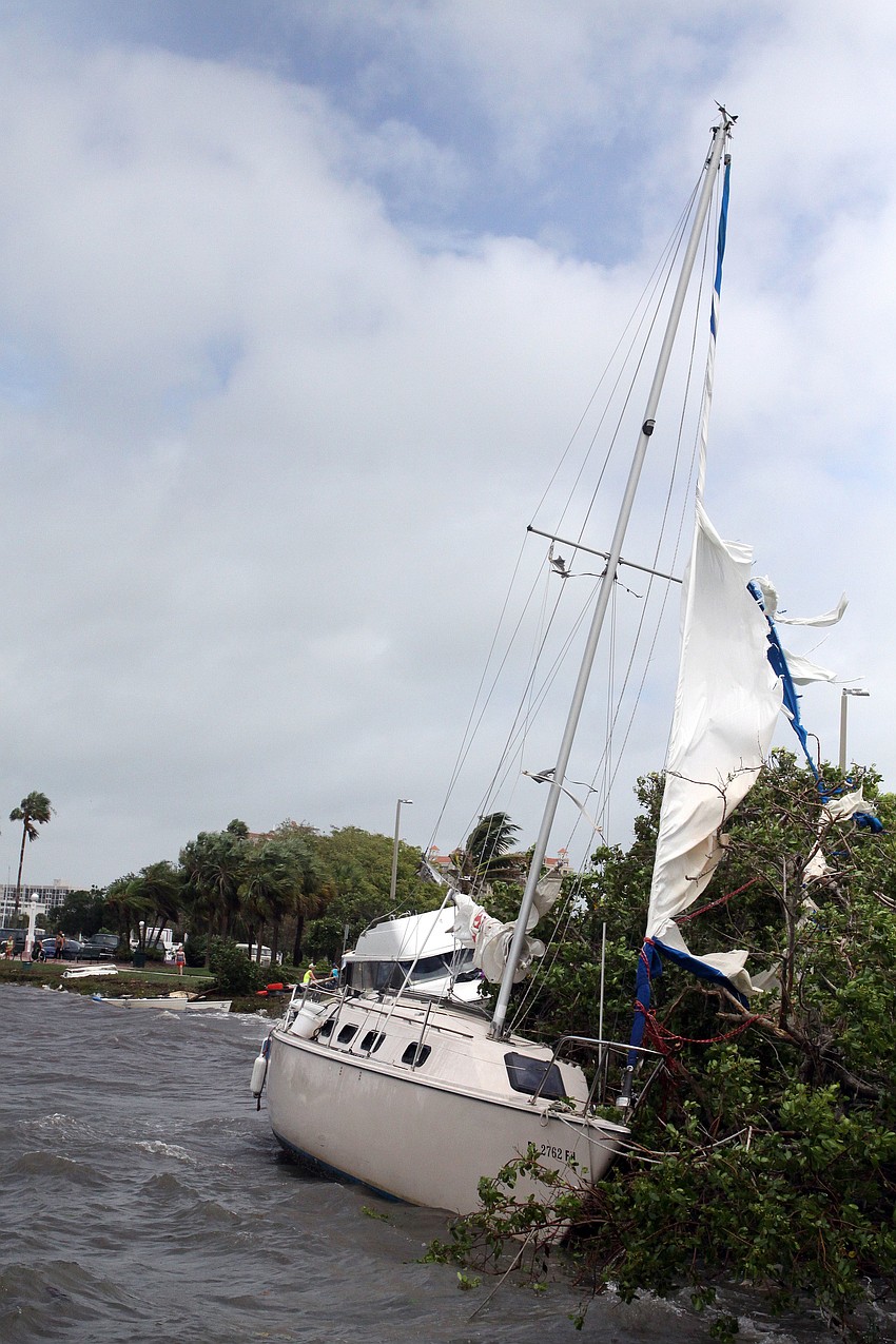 A sailboat was tangled in a tree on land at Island Park.