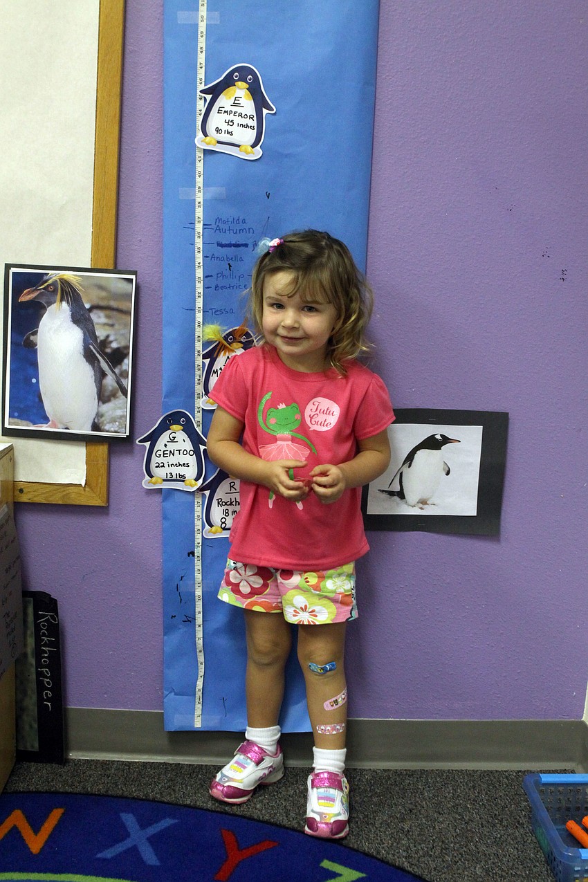 Autumn Racine, 2, stands next to the measuring chart to see what penguin she is as tall as, Monday, July 16, at Forty Carrots.