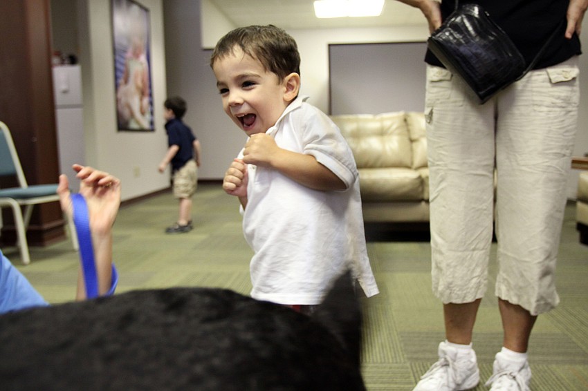 Xavier Pantone, 3, started giggling when Frela began wagging his tail, Saturday, July 21, during Puppy Love at Southeastern Guide Dogs Sarasota.