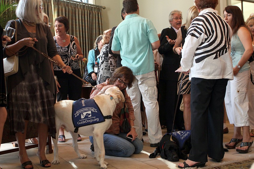 People enjoy chatting and eating while petting four dogs that are involved in Southeastern Guide Dogs, Thursday, July 26, at Premier Sothebyâ€™s.