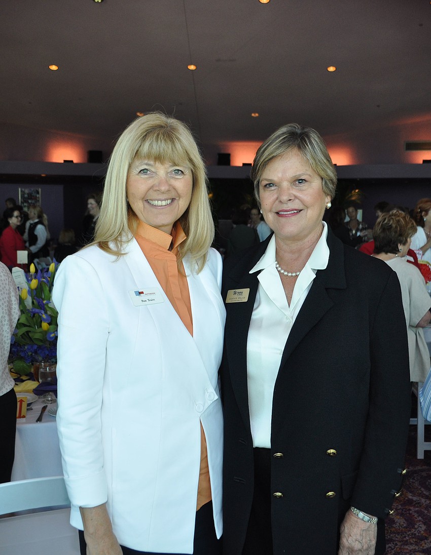 Pam Truitt and Judith Wilcox