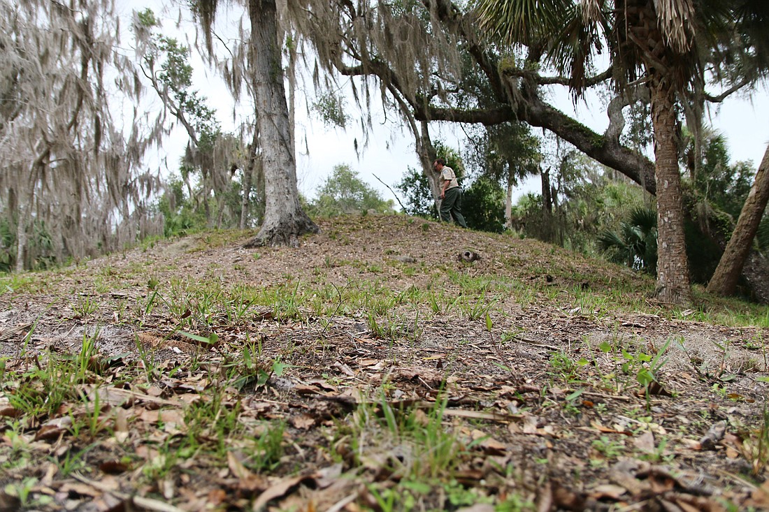 Mound 6, the largest discovered to date, stands at about 14 feet in height. Photo by Jarleene Almenas
