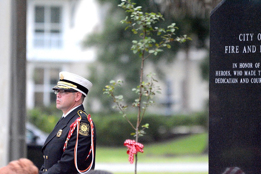 Palm Coast honors 9/11 victims, dedicates 'Survivor Tree' plaque, Observer  Local News