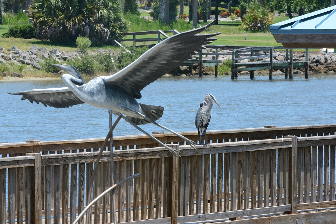 A blue heron sculpture, left, and an actual blue heron, right, at Waterfront Park. Photo by Brian McMillan