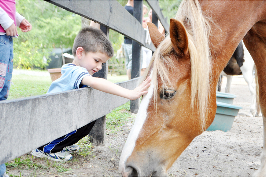 Ryan Mellow, 5, at Whispering Meadows. File photo by Shanna Fortier